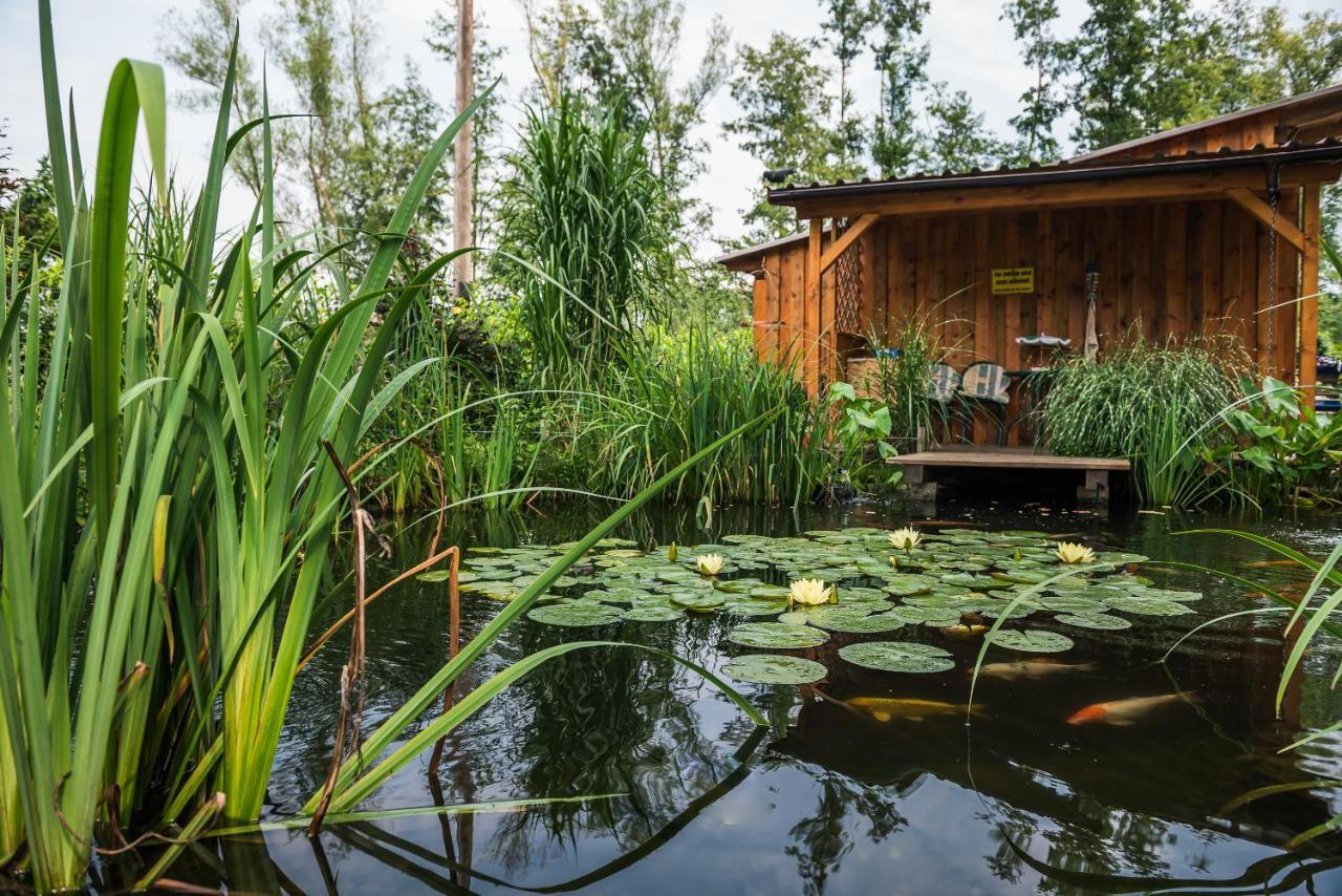 Ferienanlage Beatrix Stegersbach Ngoại thất bức ảnh